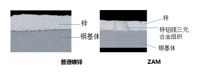圖片3.png